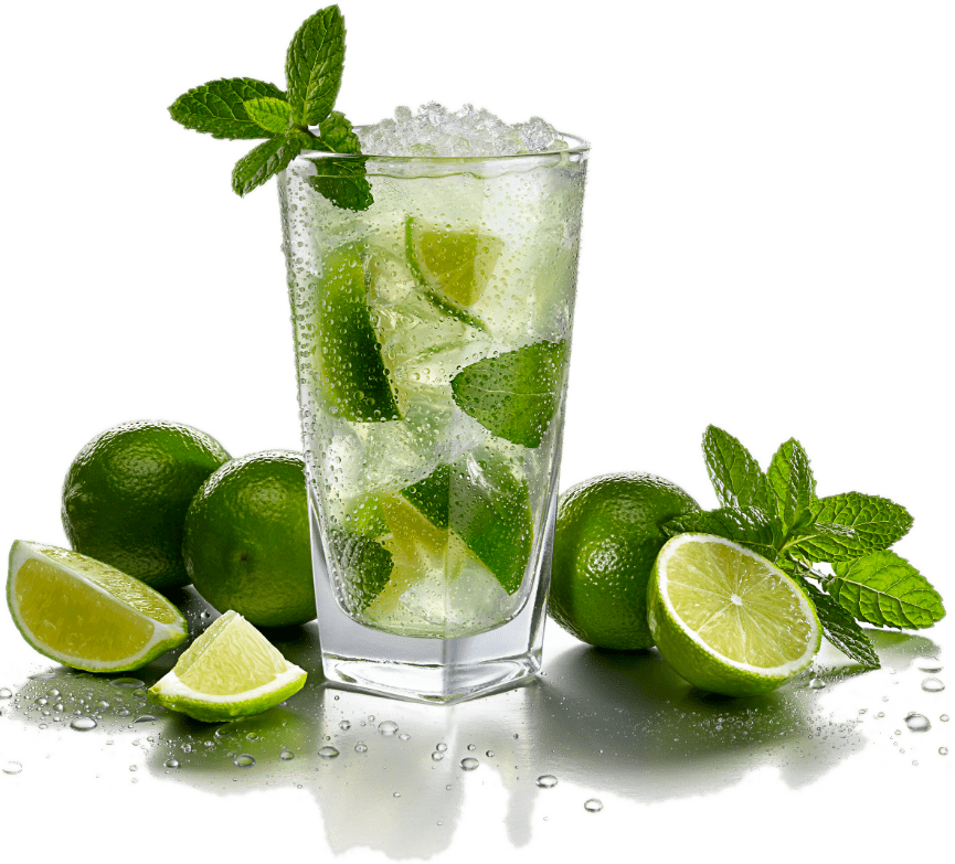 Mojito Rodez